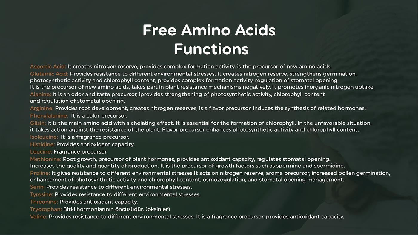 Free Amino Acids Functions