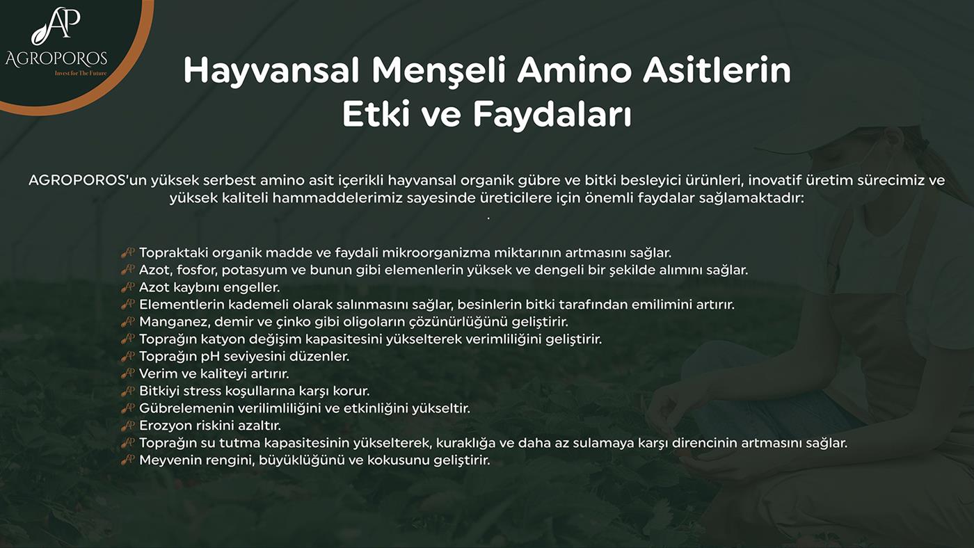Hayvansal Menşeli Amino Asitlerin Etki ve Faydaları