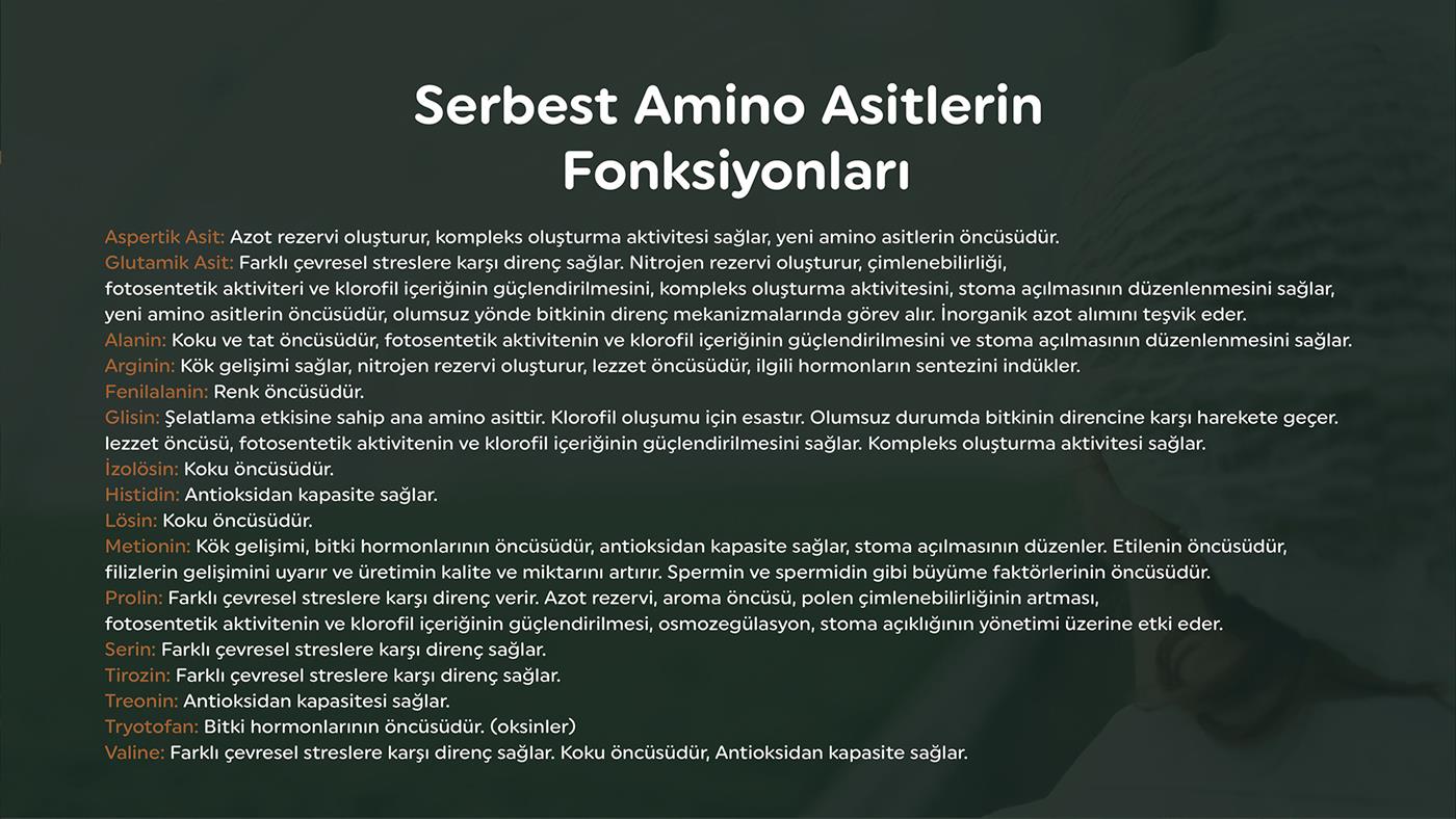 Serbest Amino Asitlerin Fonksiyonları